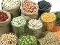 2017年世界粮食日是几月几日