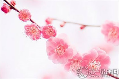 谈波恋爱 测你的桃花运什么时刻降临