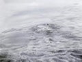 白露节气防秋燥就喝这四种茶