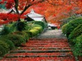 日本秋分节的由来 日本秋分节饮食