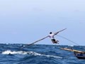 现实版老人与海 73岁老人与200公斤鲨鱼搏斗
