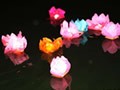 中元节的花 中元节祭祀用什么花