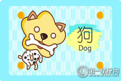 属狗