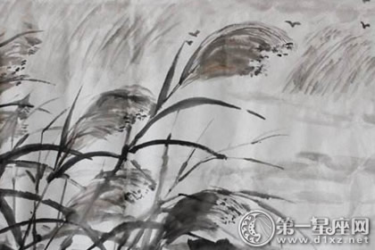 白露养生关键 做好三护三冻