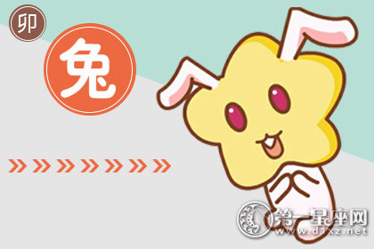 属兔