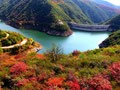 秋分养生注意预防五种常见病