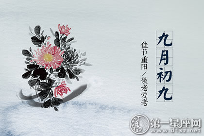 重阳节送什么