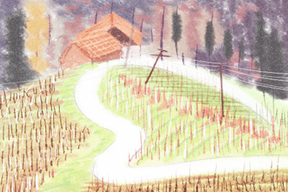 各血型君能否逆转一生？