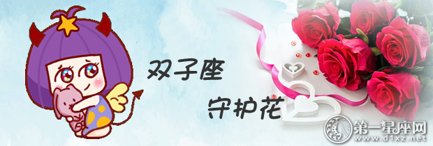 双子座守护花