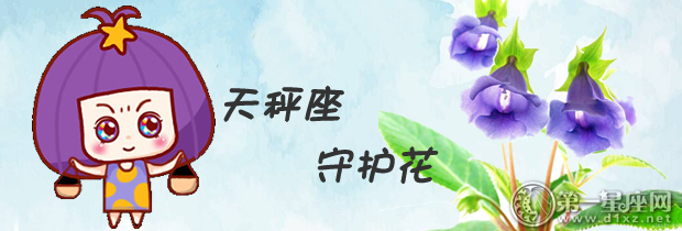 天秤座守护花