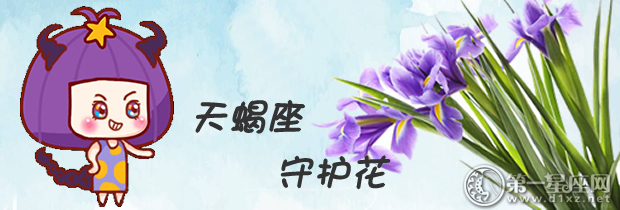 天蝎座守护花