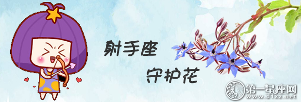 射手座守护花