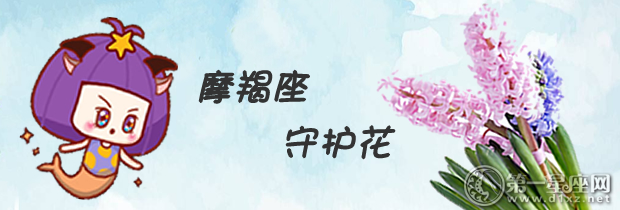 摩羯座守护花