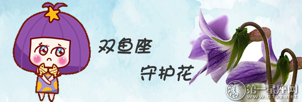 双鱼座守护花