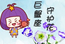 巨蟹座守护花