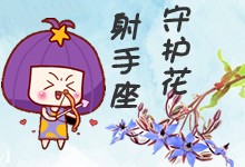 射手座守护花