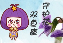 双鱼座守护花