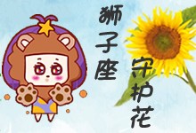 狮子座守护花