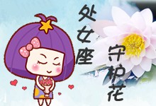 处女座守护花