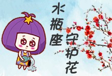 水瓶座守护花