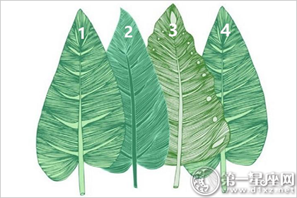 选叶子测你是否患情绪病