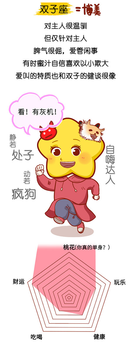 双子座