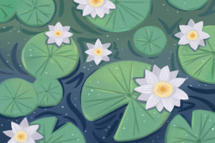 气象知识站 天气预报为什么不准