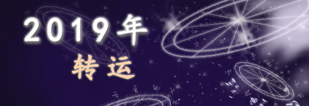 2019年转运