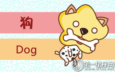 属狗谈恋爱劈腿是怎么暴露的