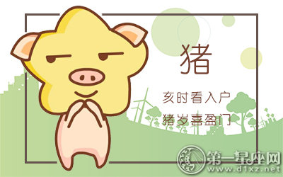 属猪对于婚姻的概念是什么