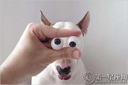 这些血型很皮 总在作死的边缘徘徊