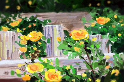 年轻活力的女装品牌 乐町LEDIN