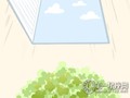 脾气收放自如的生肖