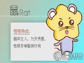 属鼠如何对待爱情