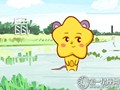 属鼠的人性格详解