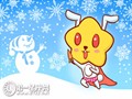 属兔人的相克属相