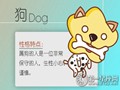 属狗如何对待爱情