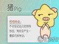 属猪如何对待爱情