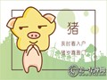 属猪人的配对禁忌