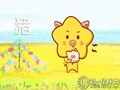 属猪十二星座性格
