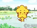 属虎的人性格详解