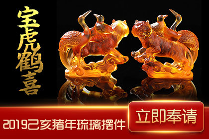 狗-拷贝