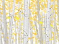 2018沈阳国际冰雪节 1月10日—3月2日