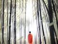 淮海戏许亚玲个人简介及其代表作