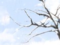 四月的花语是什么？郁金香