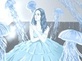 满天星有几种颜色？五种颜色都惊艳