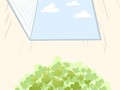 6月14日~6月23日生日树：无花树
