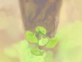 6月04日~6月13日生日树：角树