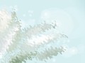 送长辈百合花多少枝最能表达祝愿