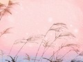 生日性格：12月24日出生的人
